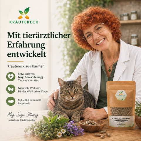 Tierärztin mit Katze und Kräutereck Schilddrüsen Kräuterkapseln in heller natürlicher Praxisatmosphäre.