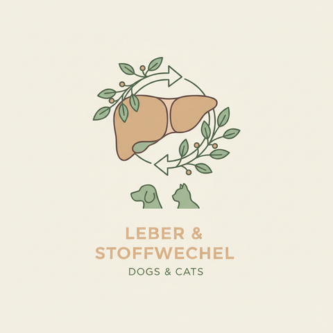 Leber & Stoffwechsel