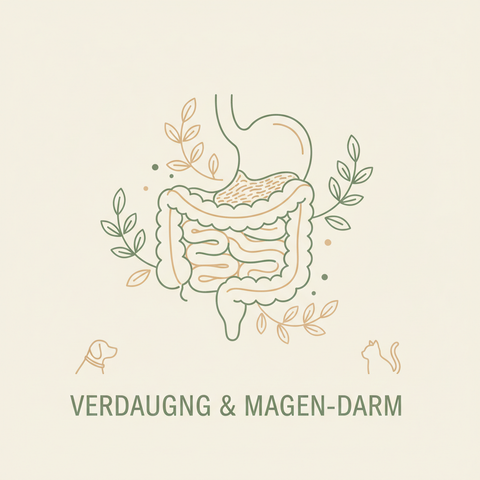 Verdauung & Magen-Darm